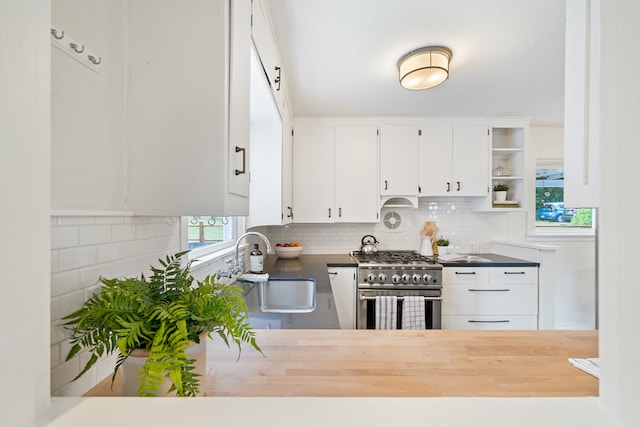 tidy kitchen with white cupboards, wooden countertop, fern plant on counter