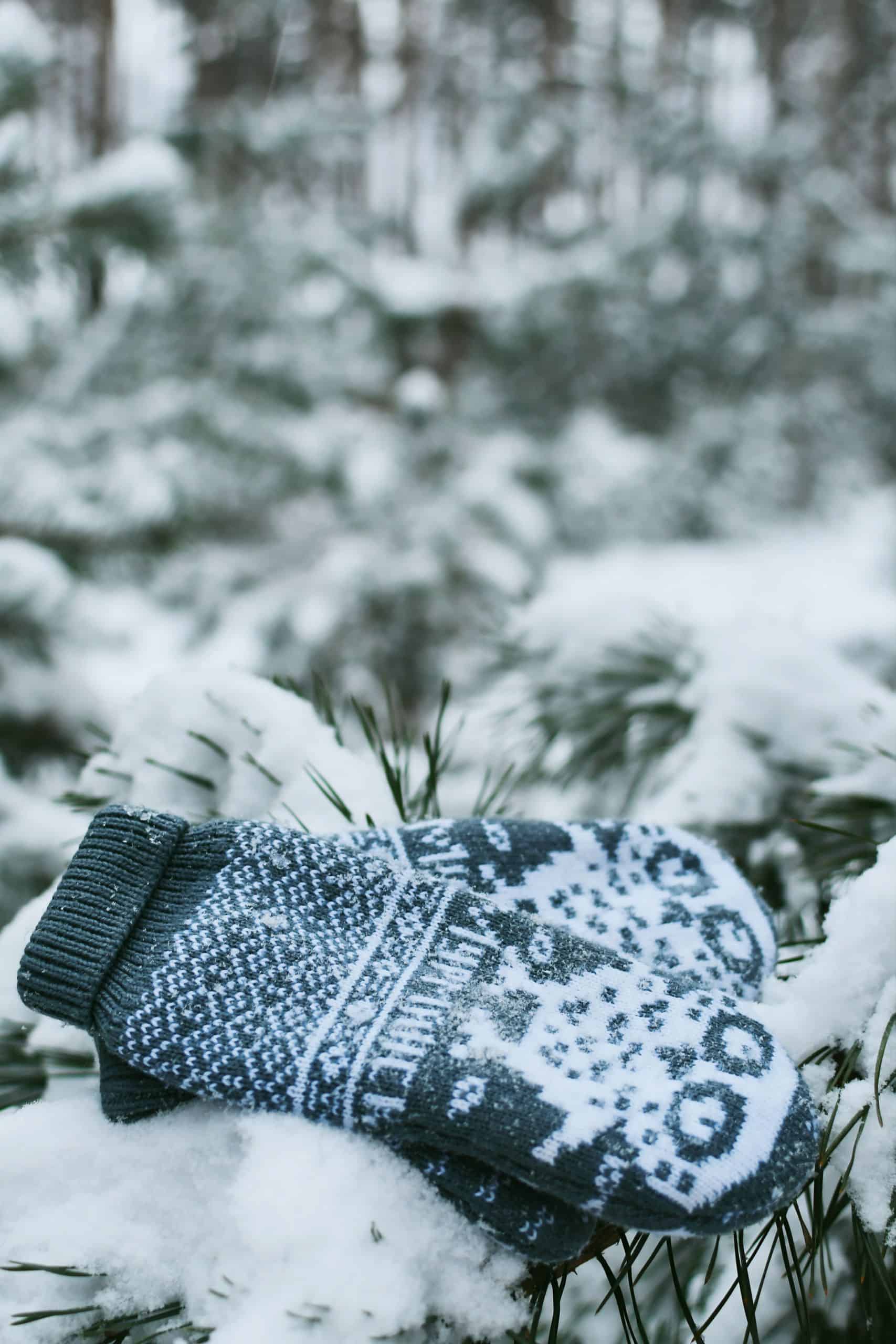 Blue patterned mittens resting on a snow-covered pine branch in a winter forest setting.